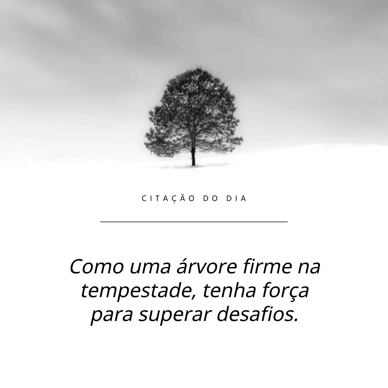 citações inspiradoras simples a preto e branco publicidade