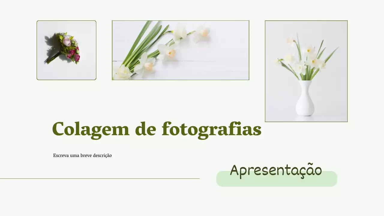 Verde Minimal Photo Collage Apresentação Portfólio de negócios