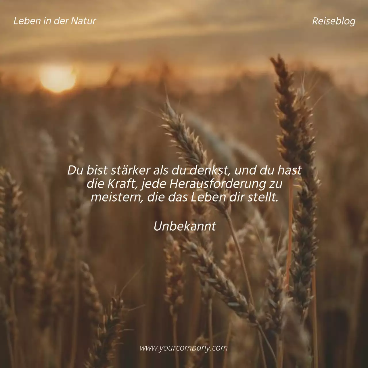 Beige und Braun Natürliche Inspirational Quote Blog Promotion