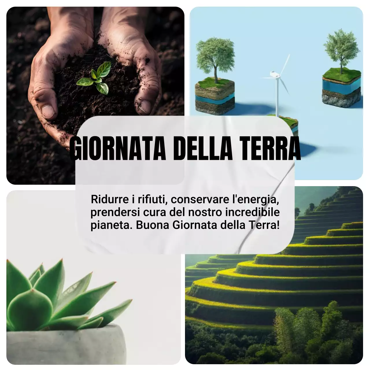 Verde Bianco Estetica Natura Ecologia Buona Giornata della Terra
