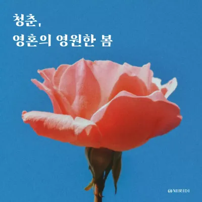 하늘색과 흰색의 단순한 청춘 영혼 봄 문구 게시글