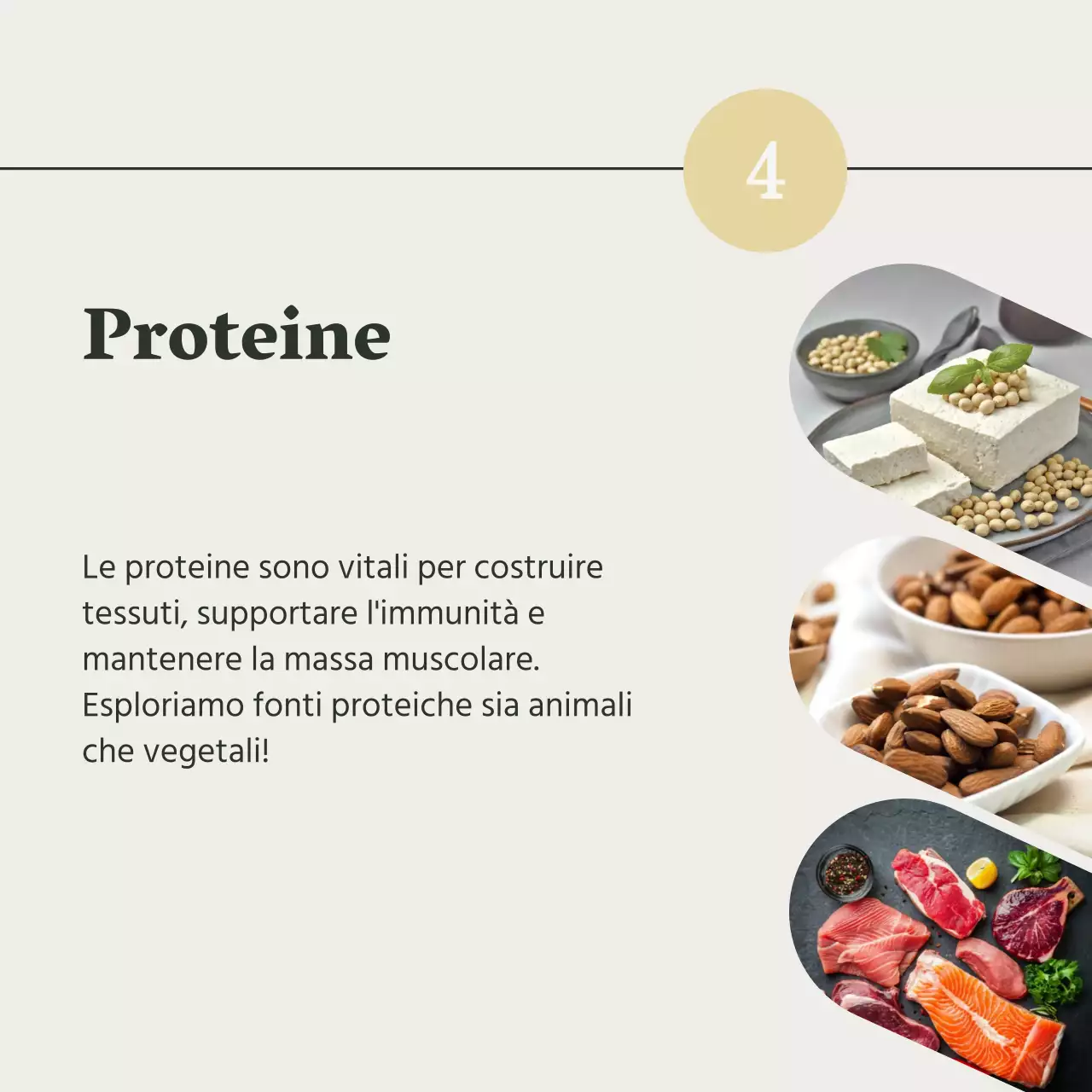 Grigio e Verde Naturale Guida alla salute e alla dieta