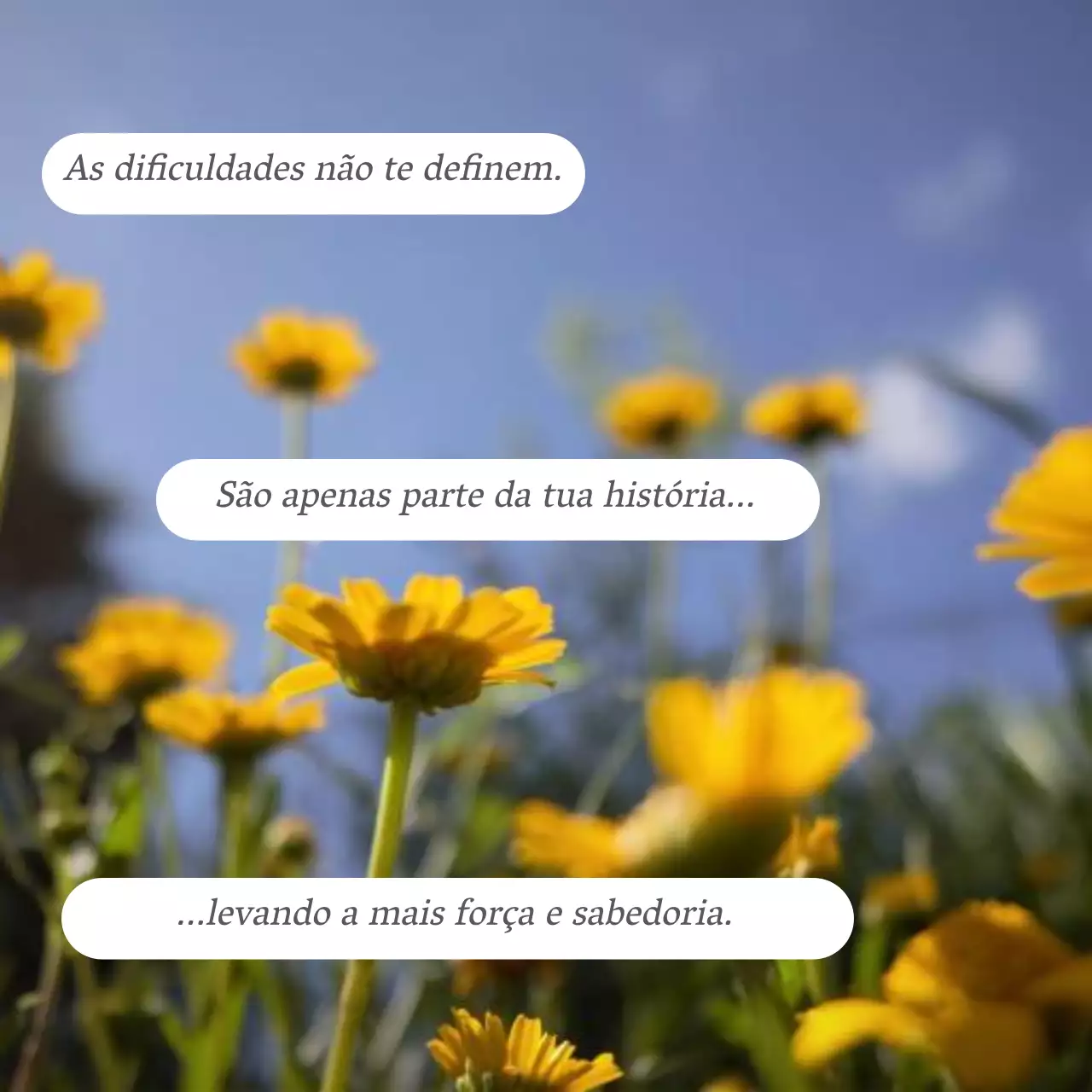 Citação motivacional natural azul e amarela Promoção do blogue