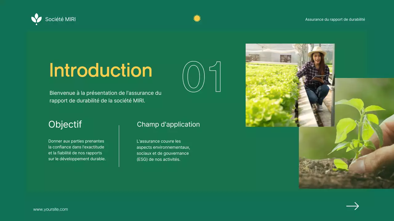 Rapport d'assurance sur le développement durable de l'entreprise Green Minimalist