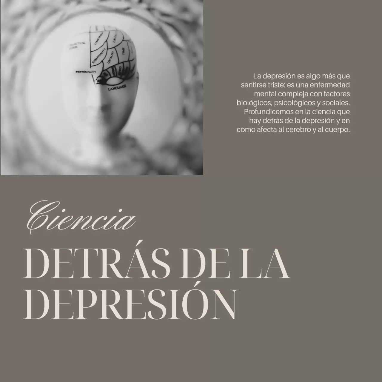 Gris Marfil Elegante Mínimo Guía de Salud Mental