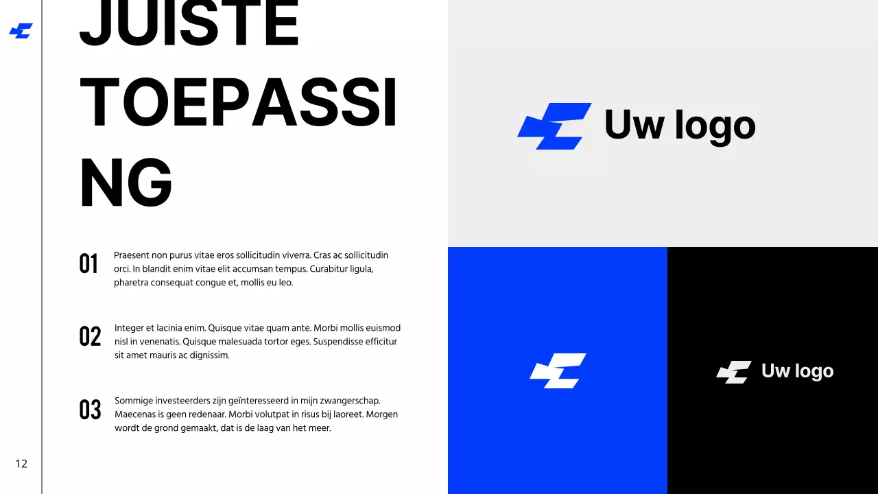 Wit Blauw Vet Cool Tone Schoon Merkidentiteit Richtlijnen Instructies