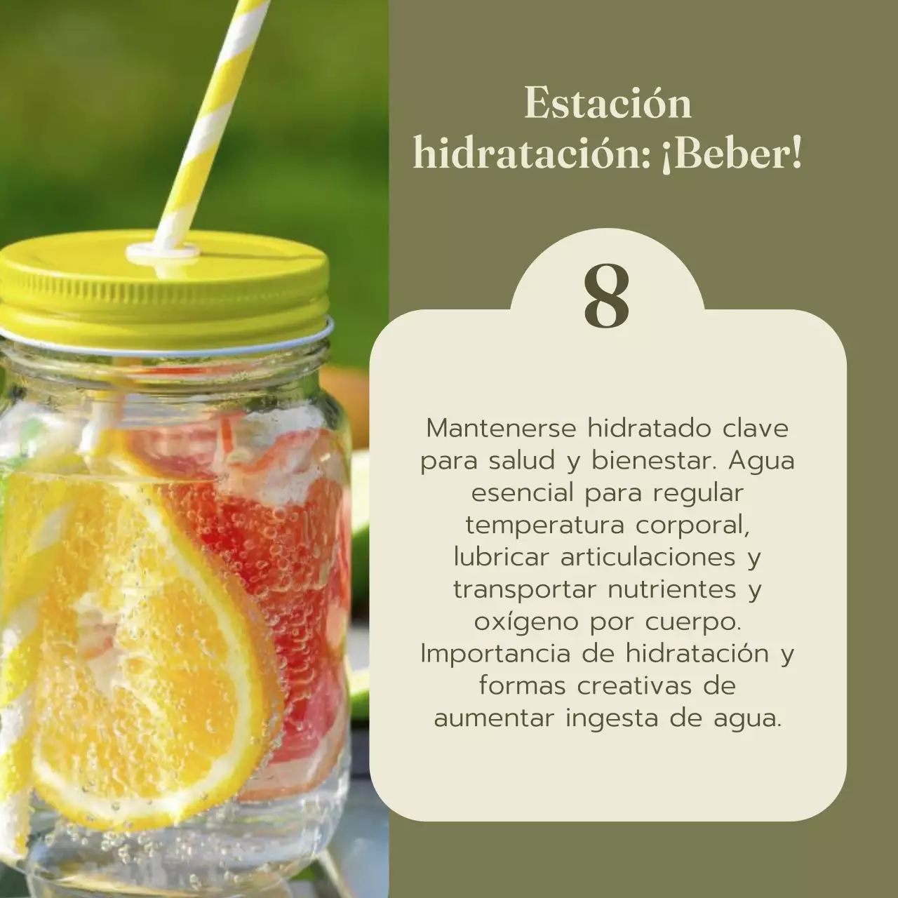 Guía verde y roja de alimentos y dietas saludables