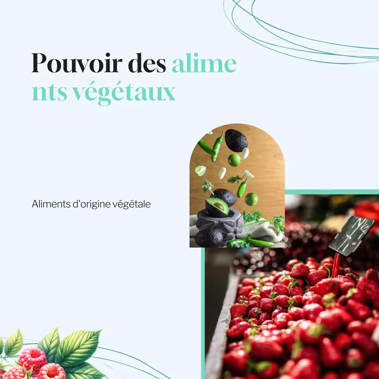 Mint Blue Tropical Healthy Food & Diet Overview