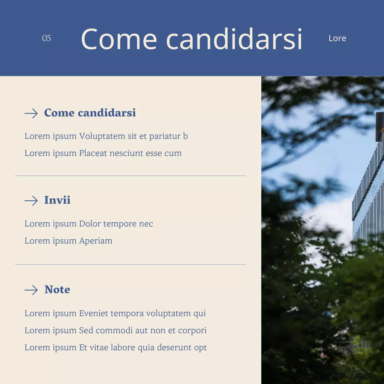 Informazioni sul corso di formazione per interpreti culturali semplici in blu navy e avorio