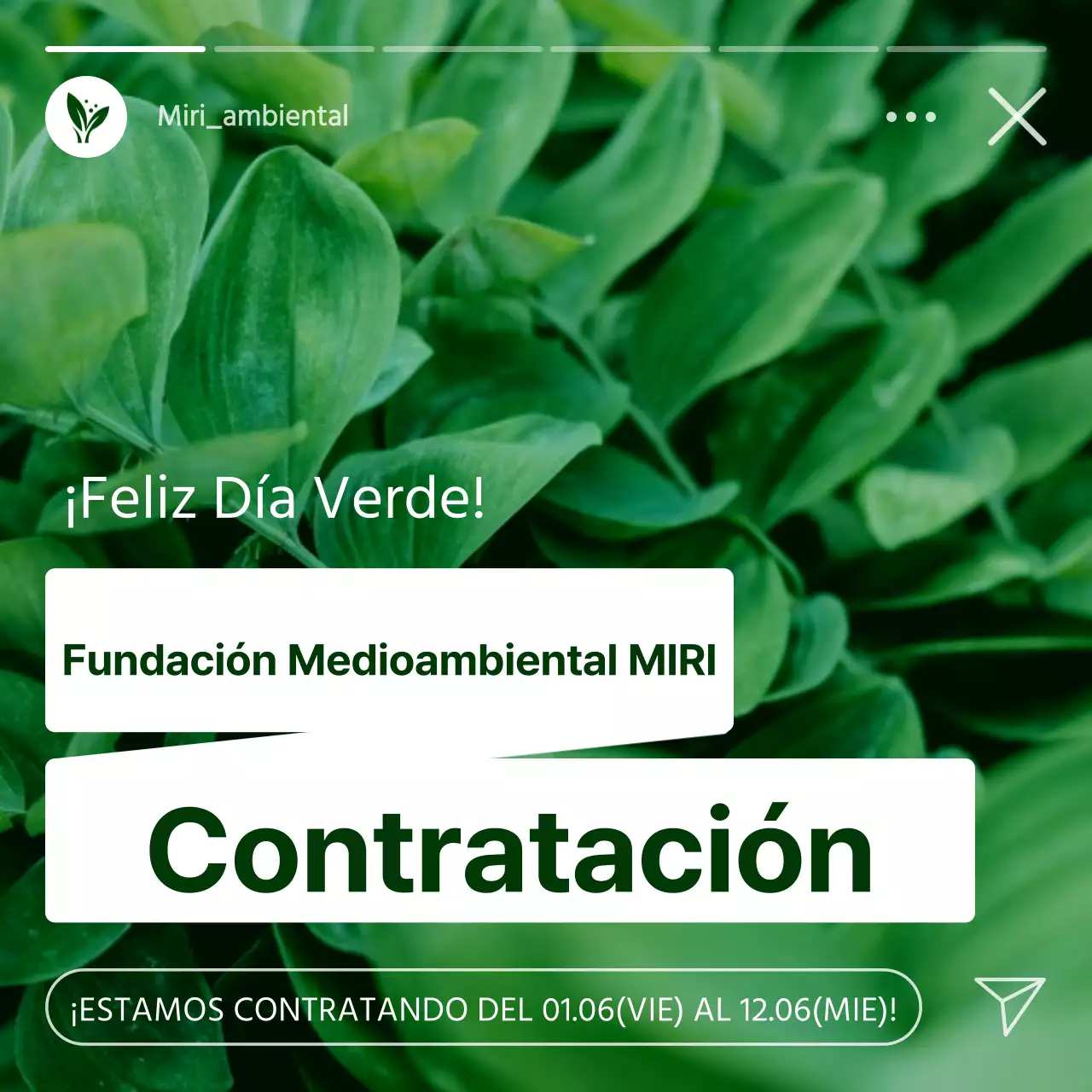 Promover la contratación de voluntarios ecologistas, blancos y modernos