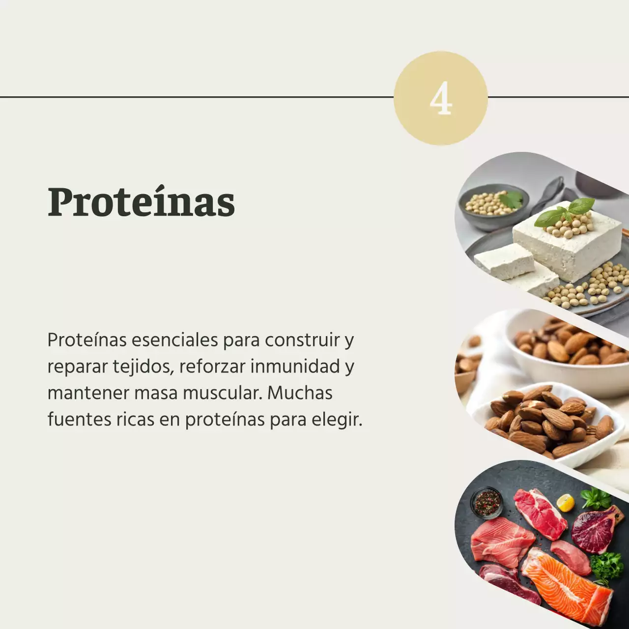 Gris y Verde Natural Guía de alimentos y dietas saludables