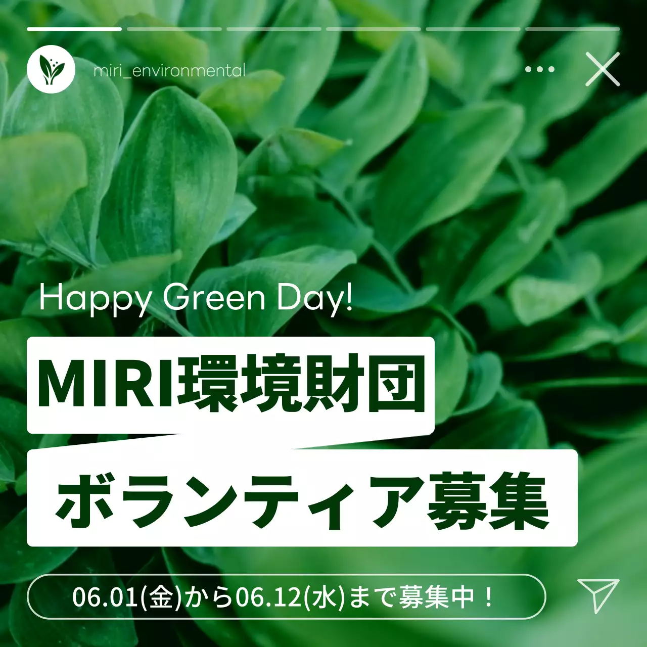 緑 シンプル ボランティア お知らせ Instagram カルーセル
