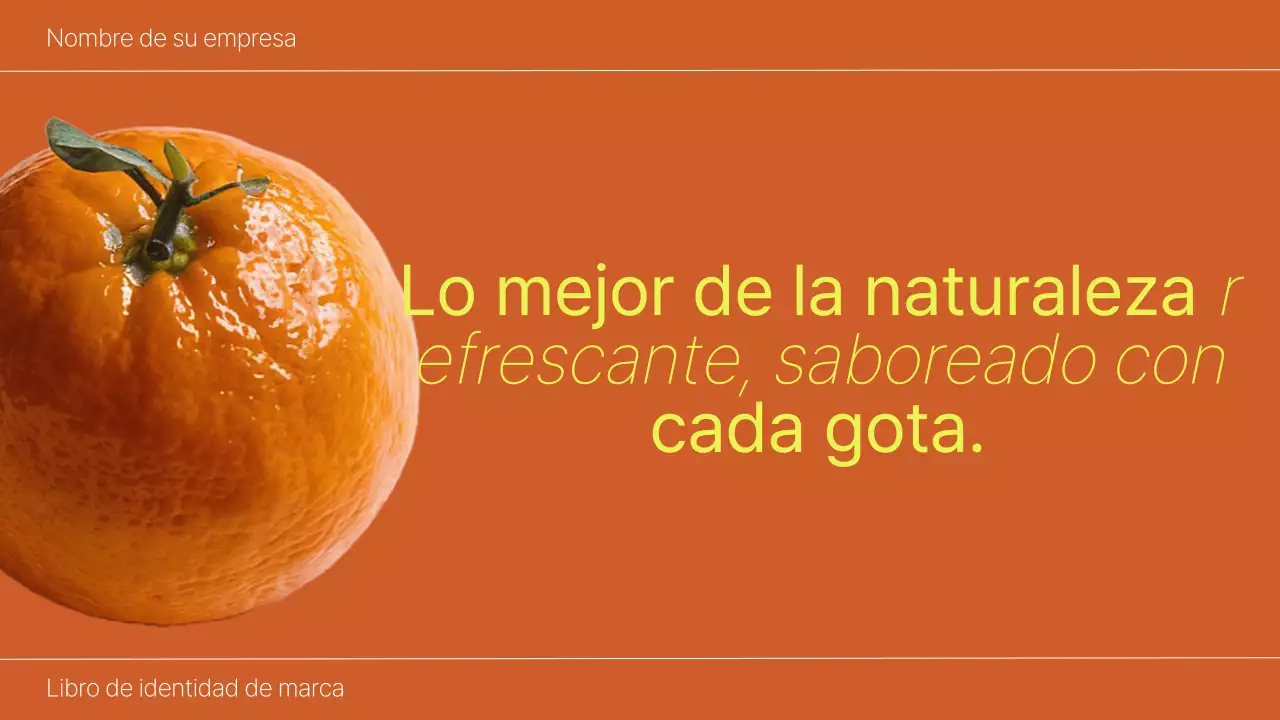 Orange and Lime Bold Brand Identity Book Introducción