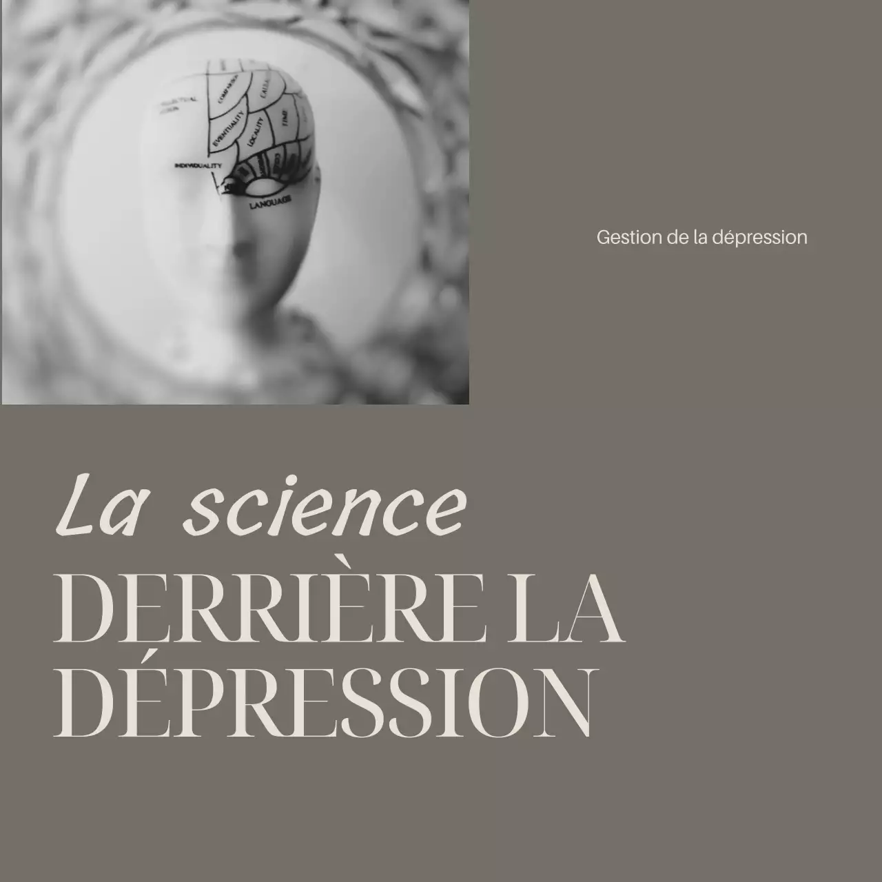 Gris Ivoire Elégant Minimal Guide de la santé mentale