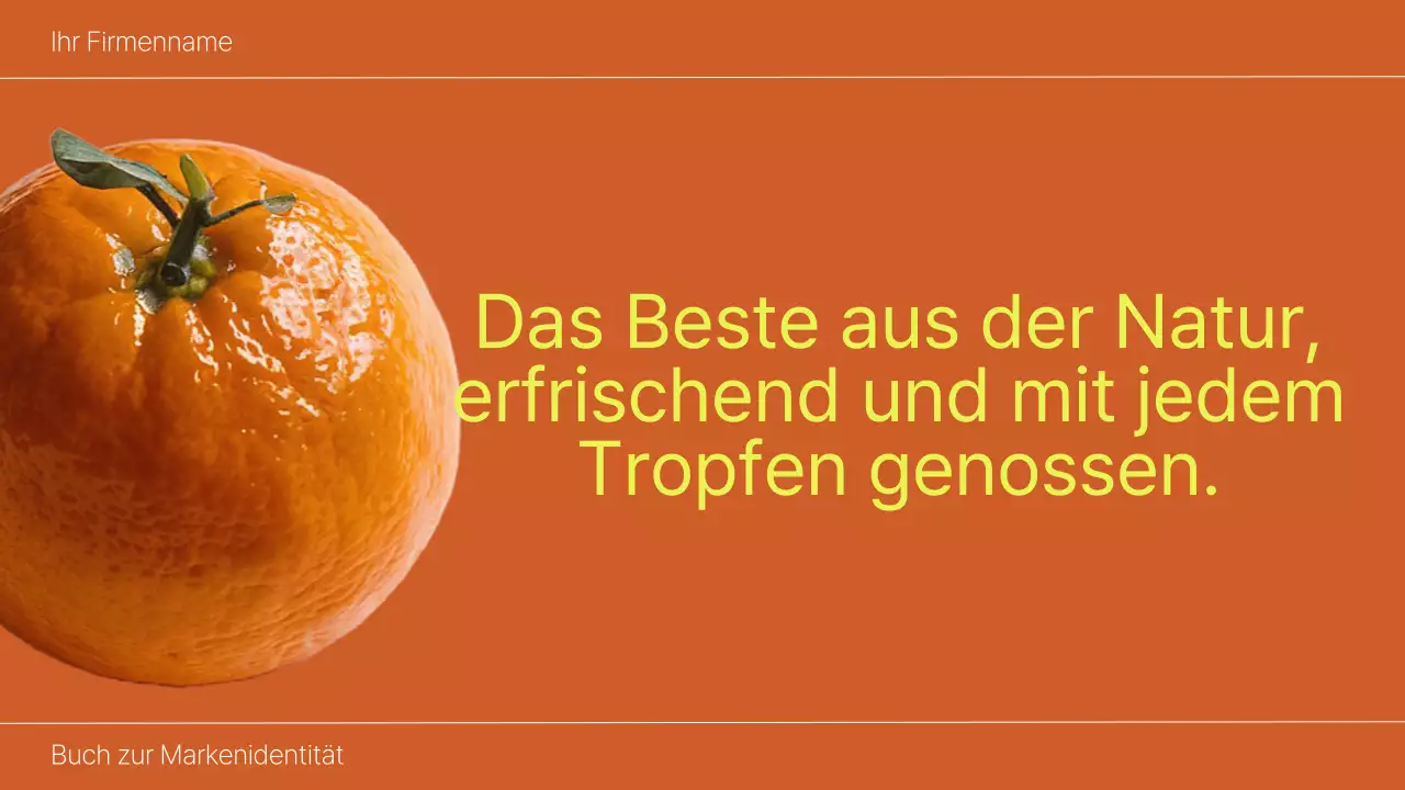 Orange and Lime Bold Brand Identity Buch Einführung