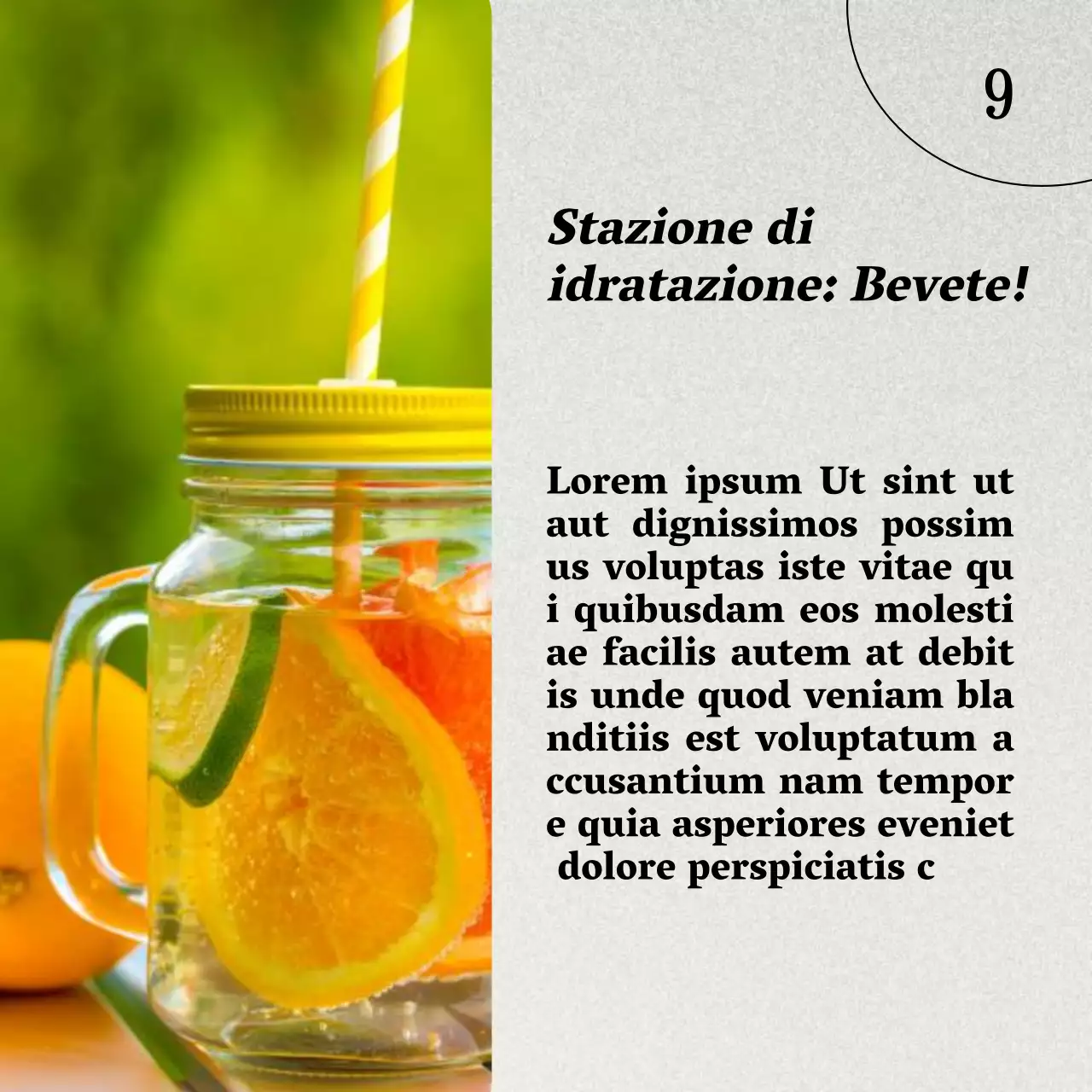 Grigio e Marrone Naturale Guida alla salute e alla dieta