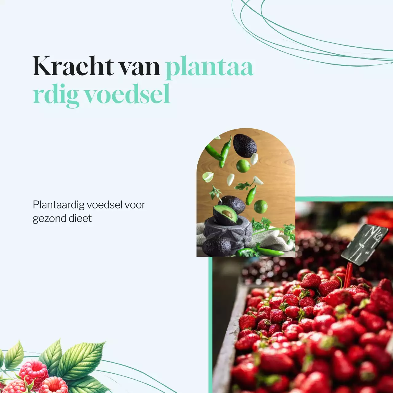 Mint Blue Tropical Gezonde Voeding & Dieet Overzicht