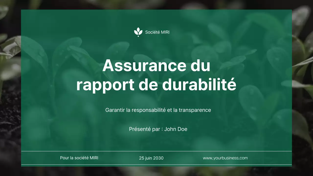 Rapport d'assurance sur le développement durable de l'entreprise Green Minimalist