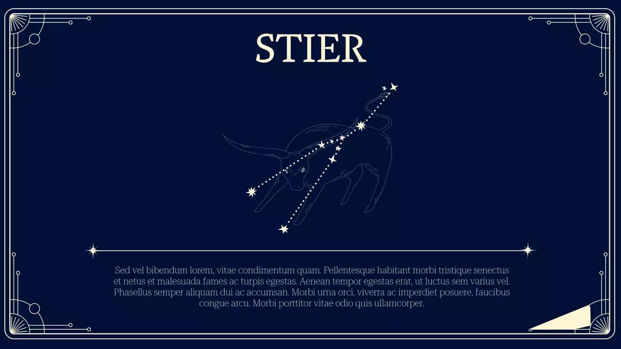 Navy Classic Astrologie Einführung