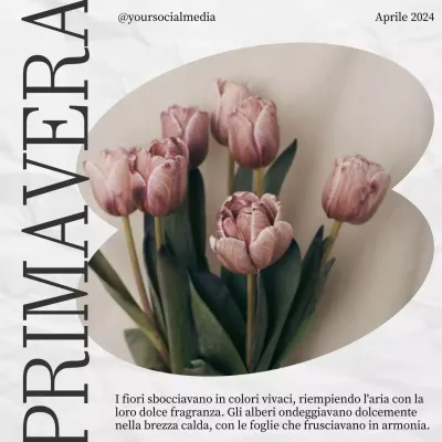 Primavera estetica in fiore rosa e bianco