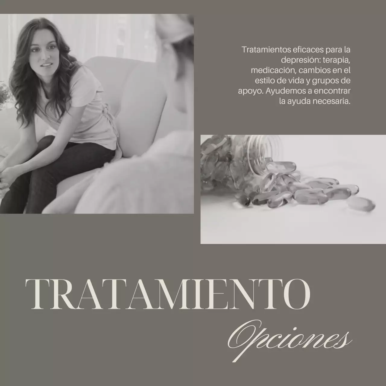 Gris Marfil Elegante Mínimo Guía de Salud Mental