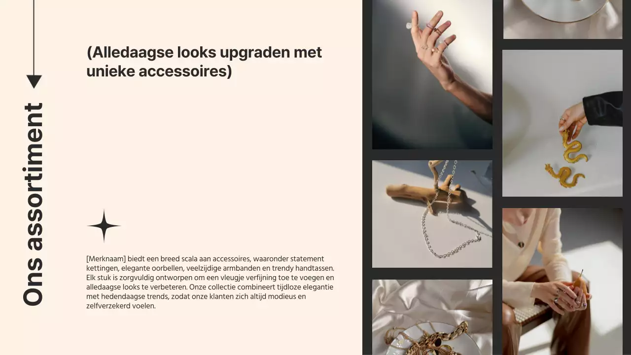 Beige elefant vrouw zakelijk product pitch