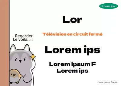 Informations sur la vidéosurveillance en orange