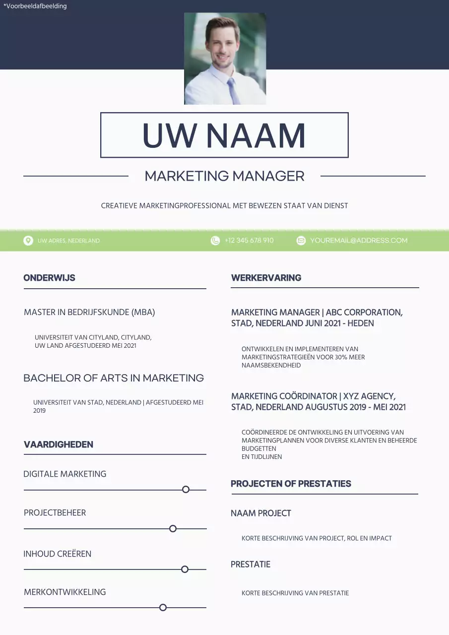 Blauw-wit Eenvoudige Marketing Manager Portfolio