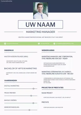 Blauw-wit Eenvoudige Marketing Manager Portfolio
