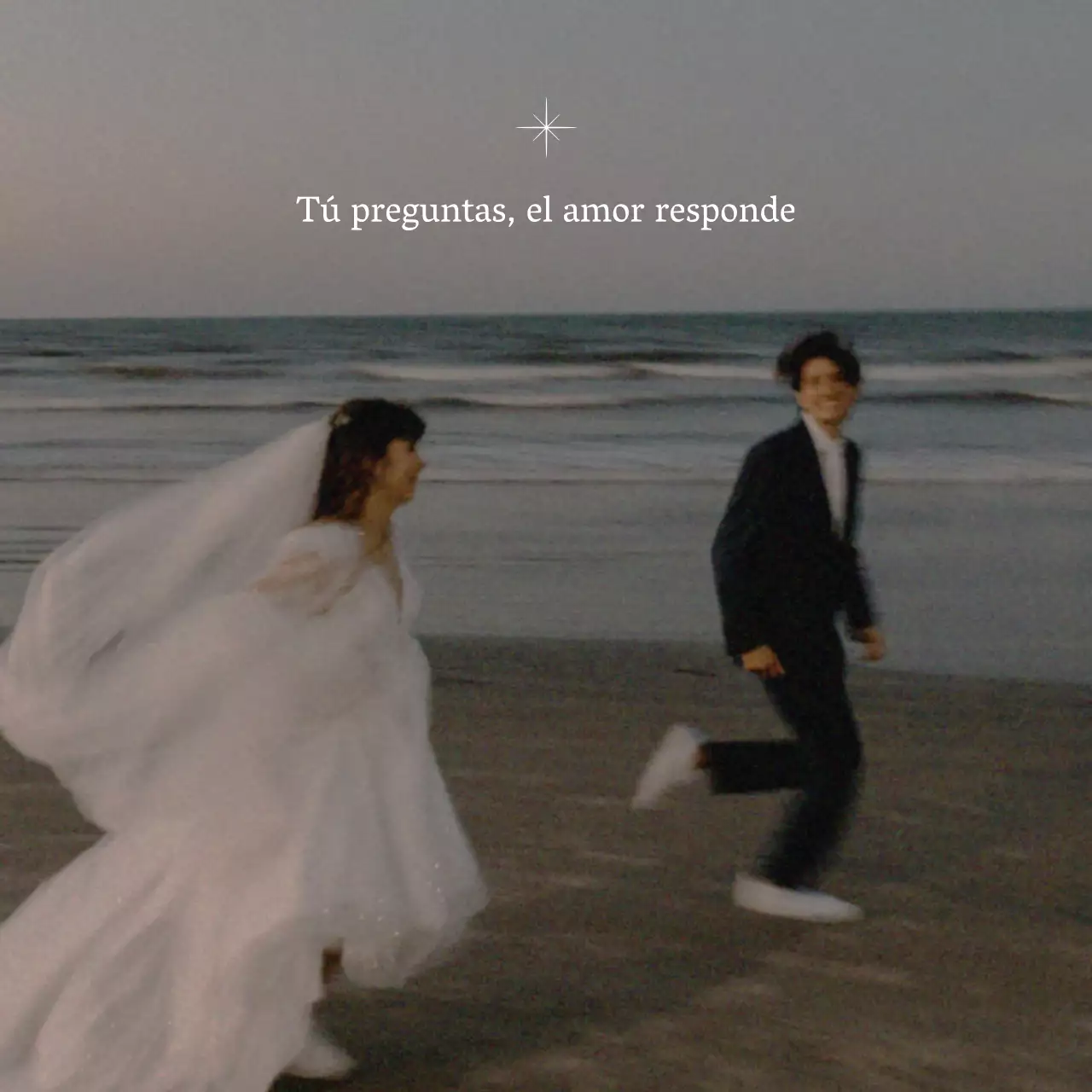 Promover el amor simple profesiones papelería de la boda en azul y blanco