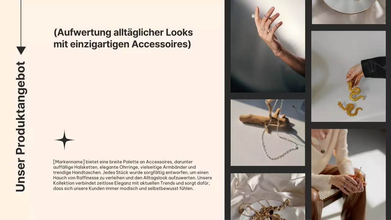 Beige Elefant Frau Business Produkt Pitch