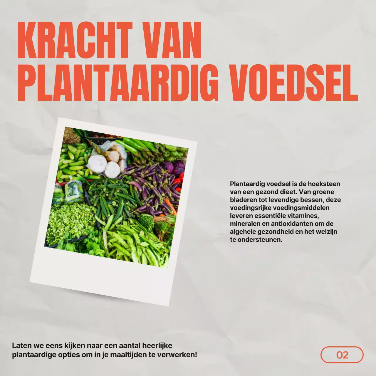 Grijze Rode Vintage Gids voor Gezond Eten & Dieet