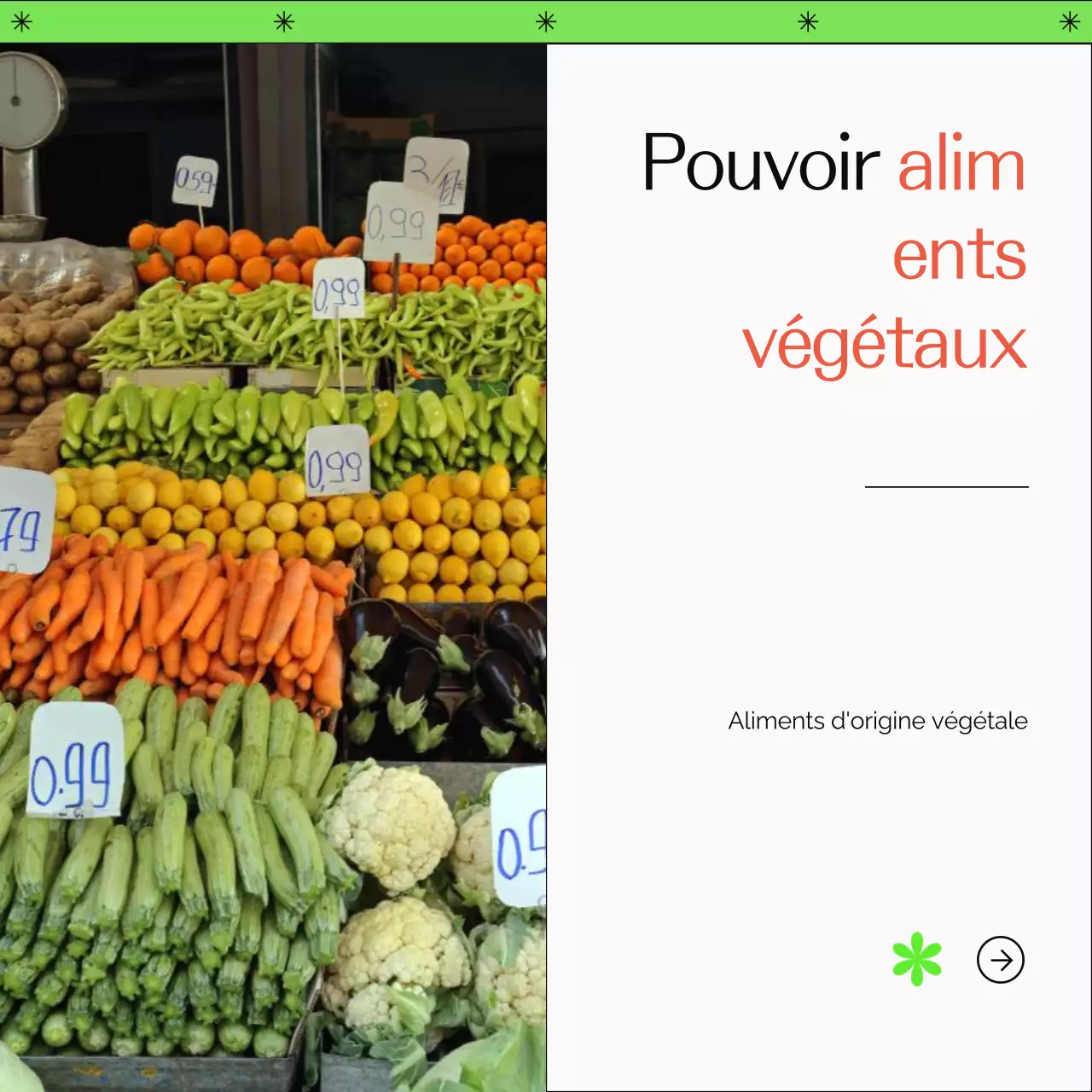 Green and Orange Guide pour un mode de vie sain et simple