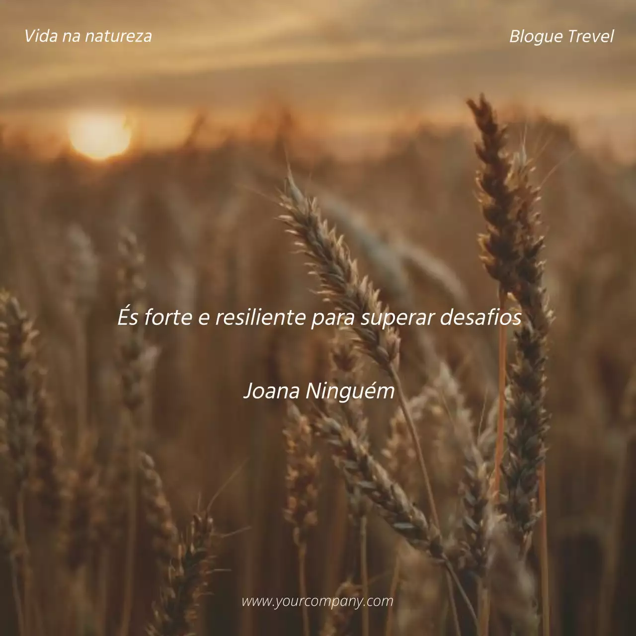 Bege e castanho Natural Inspirational Quote Blog Promotion