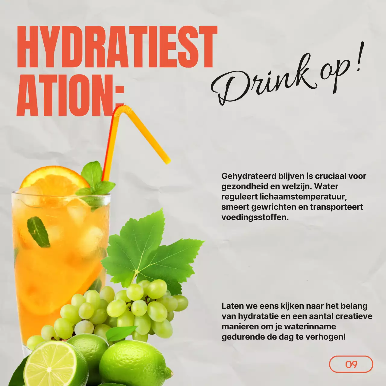 Grijze Rode Vintage Gids voor Gezond Eten & Dieet