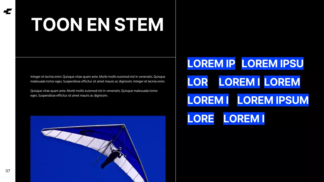 Wit Blauw Vet Cool Tone Schoon Merkidentiteit Richtlijnen Instructies