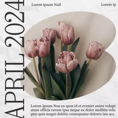 Rosa und weiß blühende Ästhetik des Frühlings