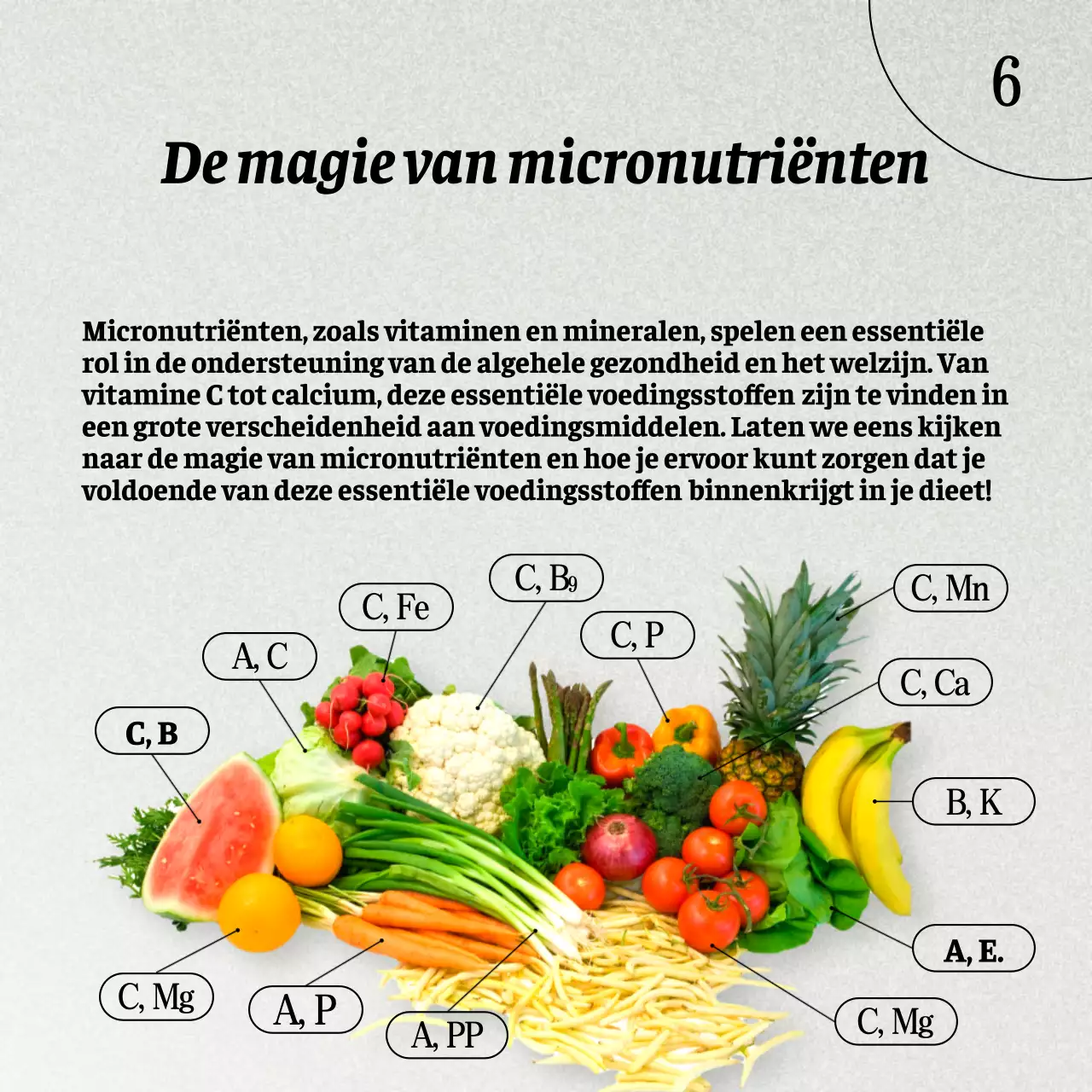 Grijs en Bruin Natuurlijk Gezond eten en dieetgids