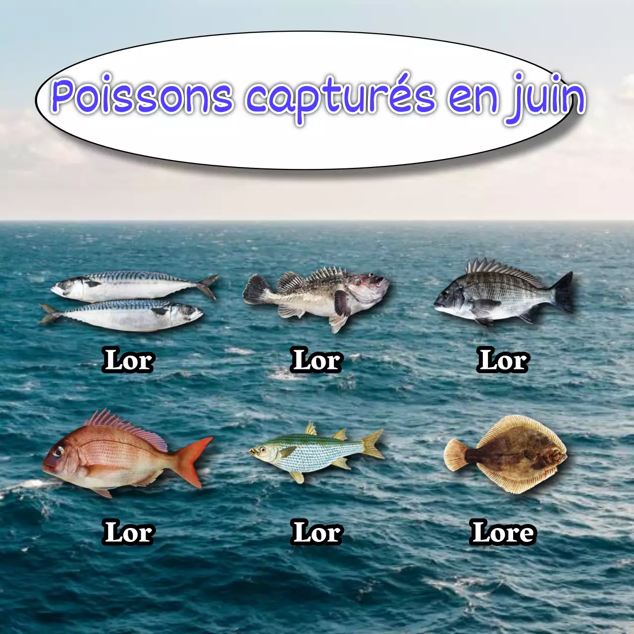 Promouvoir l'expérience de la pêche en mer bleue et jaune qui rend malade