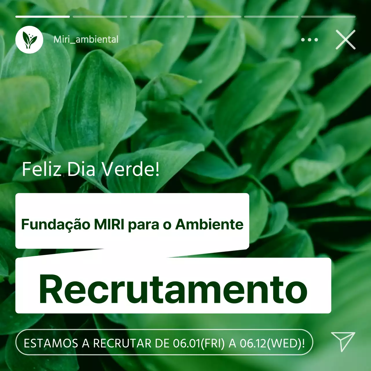 Promover o recrutamento de voluntários ambientais verdes, brancos e modernos