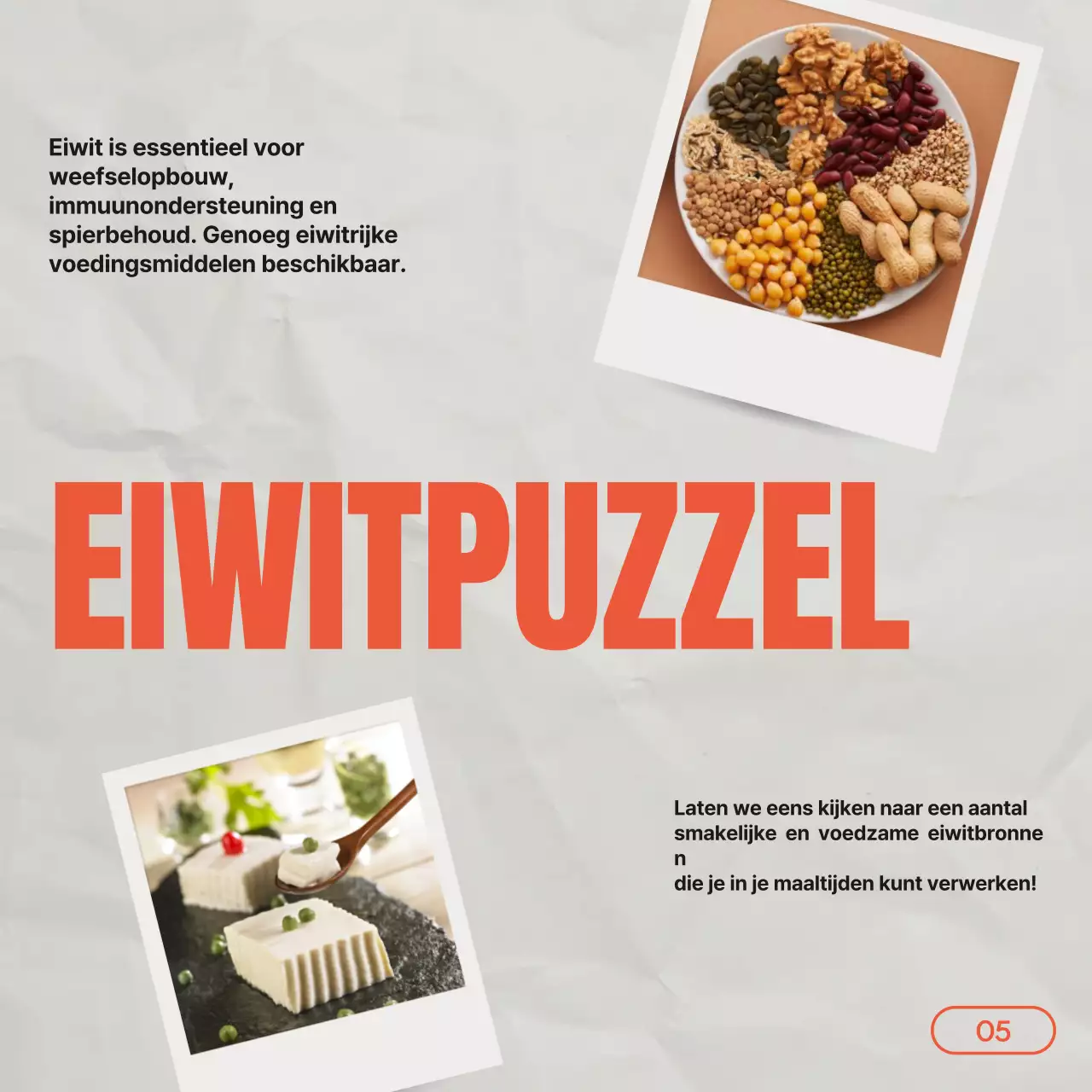 Grijze Rode Vintage Gids voor Gezond Eten & Dieet