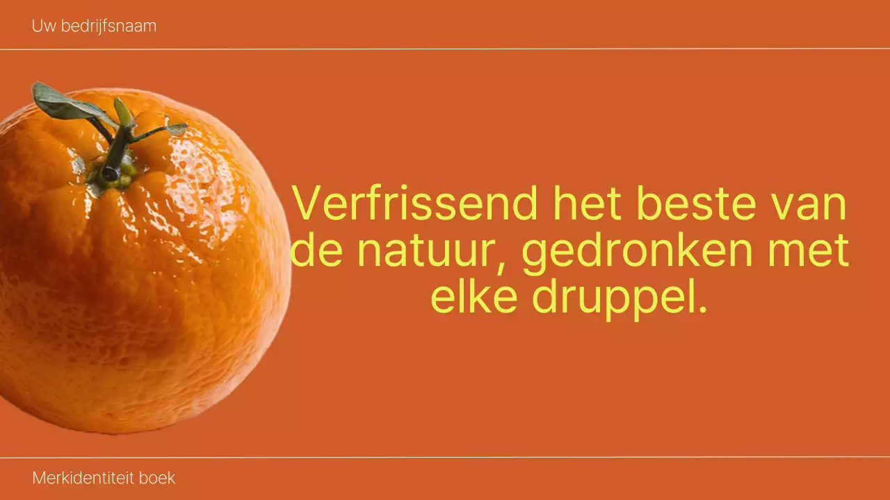 Orange and Lime Bold Brand Identity Boek Introductie