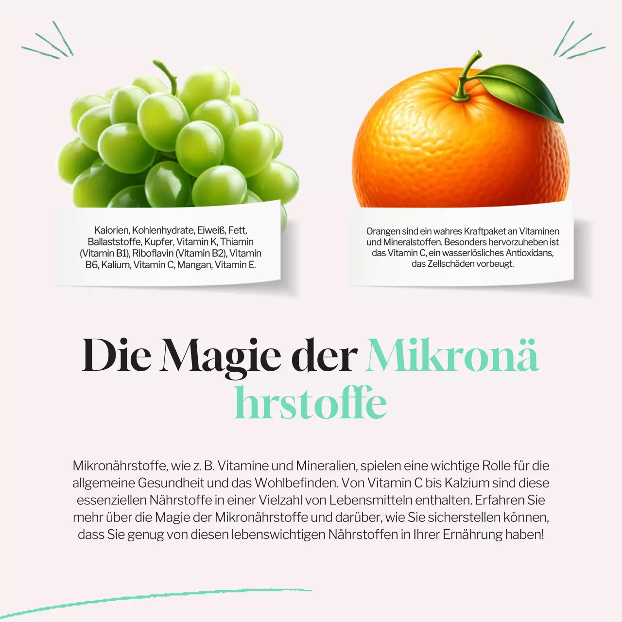 Mint Blue Tropical Gesundes Essen & Diät Übersicht