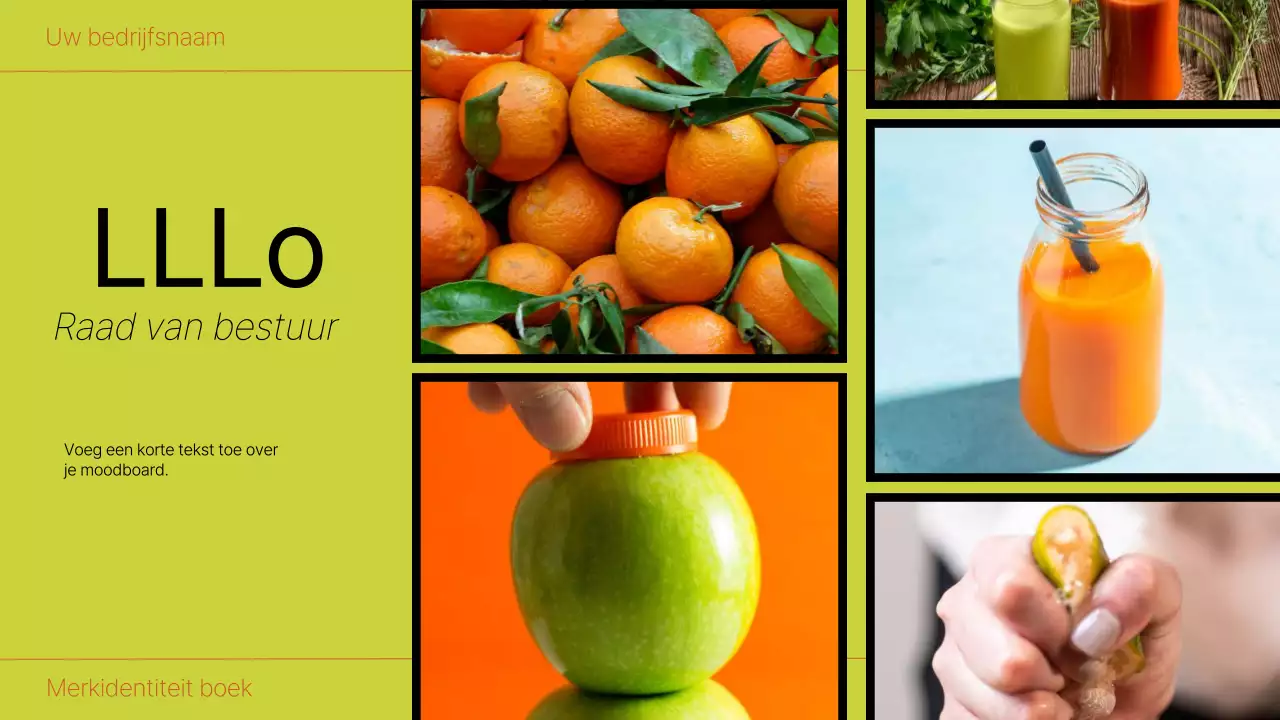 Orange and Lime Bold Brand Identity Boek Introductie