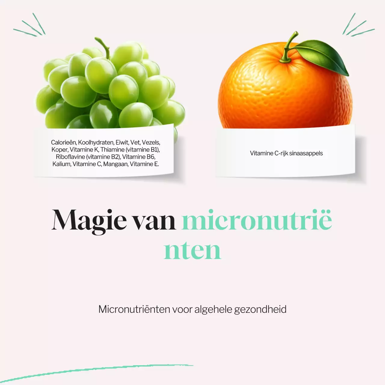 Mint Blue Tropical Gezonde Voeding & Dieet Overzicht