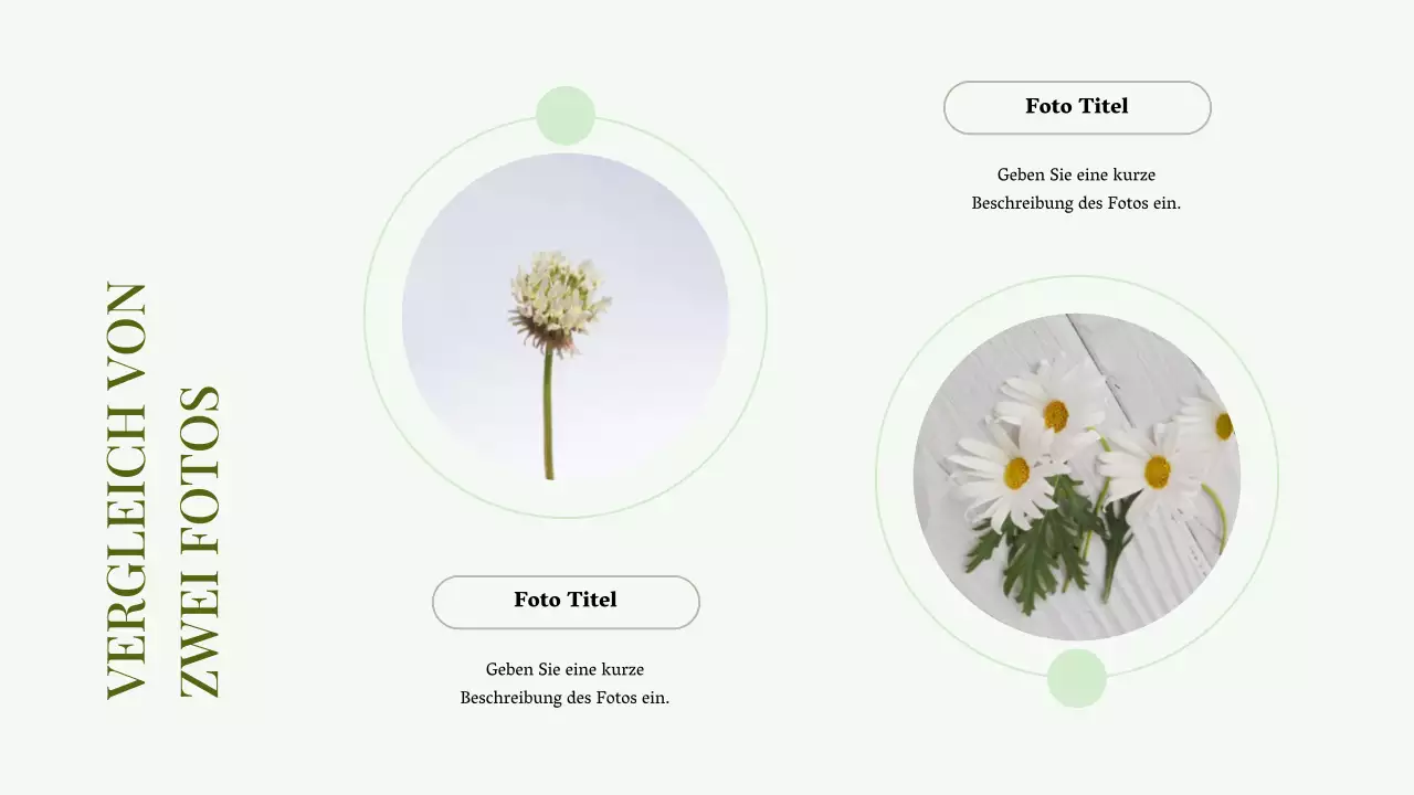 Grün Minimal Foto Collage Präsentation Business Portfolio