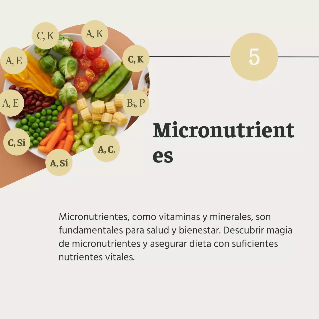 Gris y Verde Natural Guía de alimentos y dietas saludables