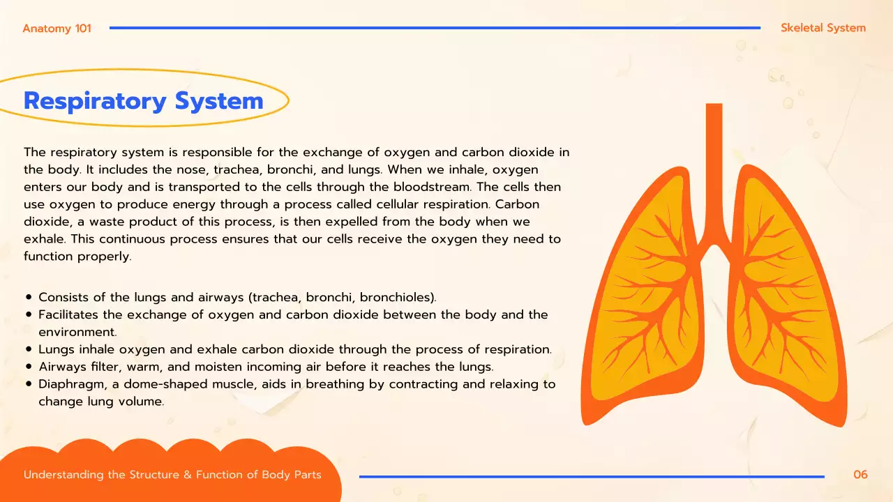 Orange Educational Anatomy Guide Presentation