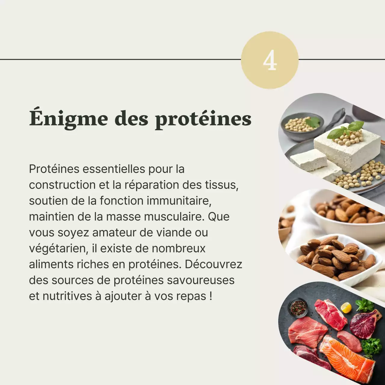 Gris et vert Guide de l'alimentation saine et du régime alimentaire