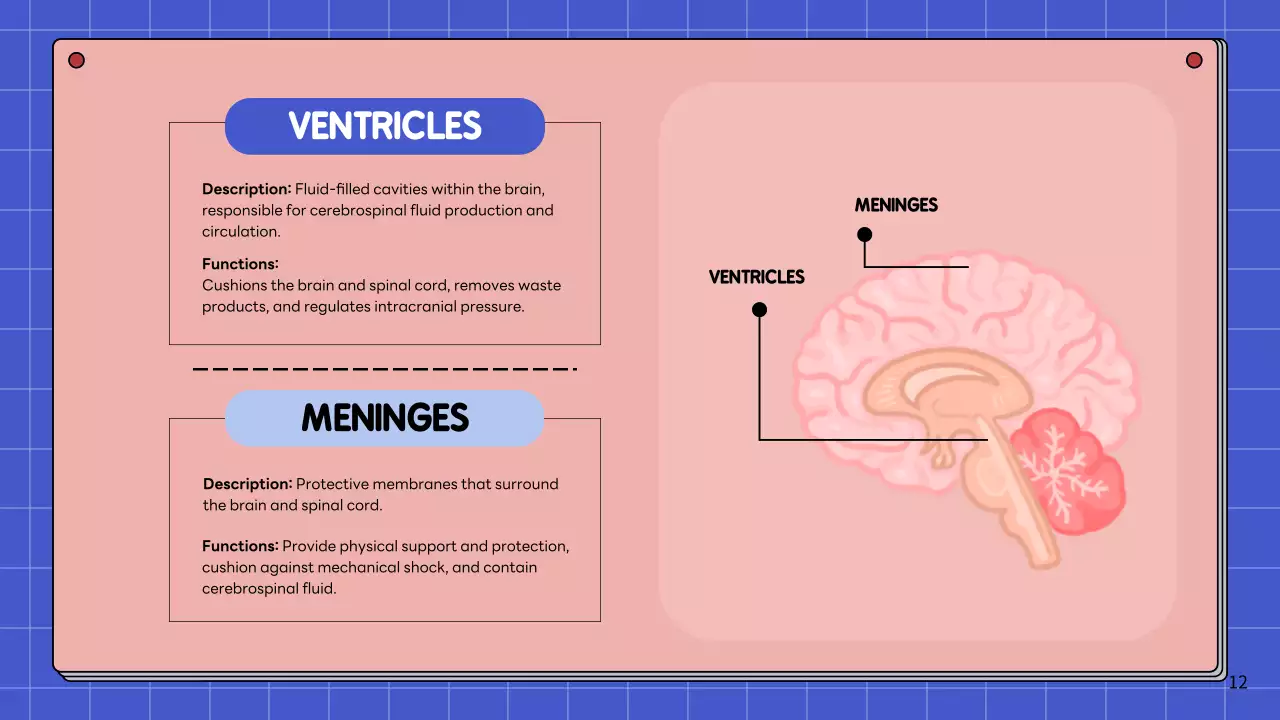 Apresentação da Palestra Pink Modern Brain